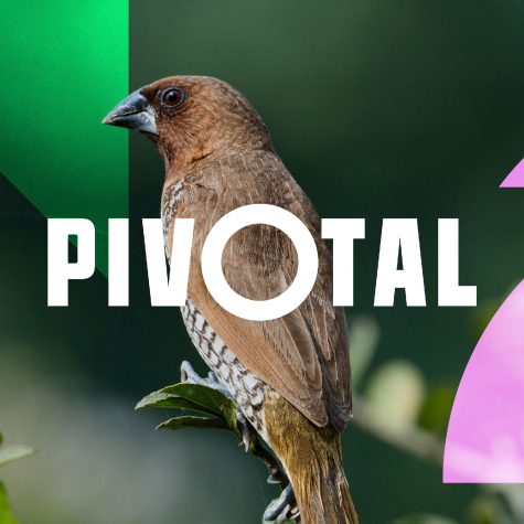 Pivotal